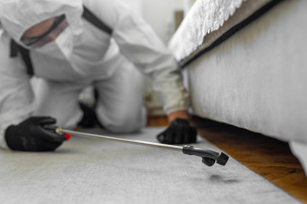 Professional Bed Bug Control technician working in Lakeside, FL